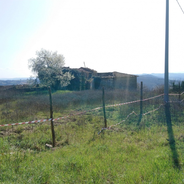 Montelupo-pressi-Colonica-panoramica