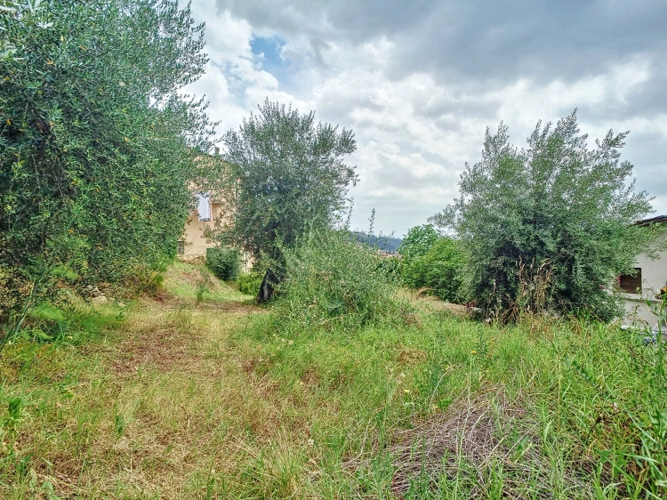 capraia e limite appartamento di 3 vani in vendita con giardino di proprietà