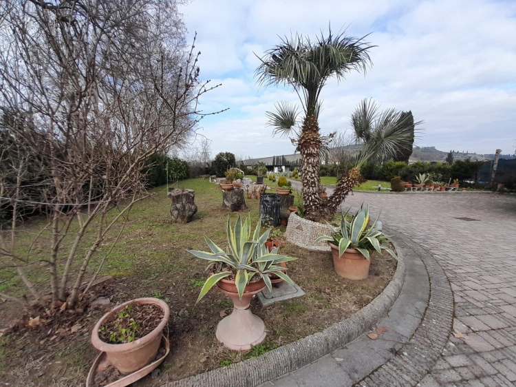 cerreto guidi terratetto in vendita con giardino molto grande