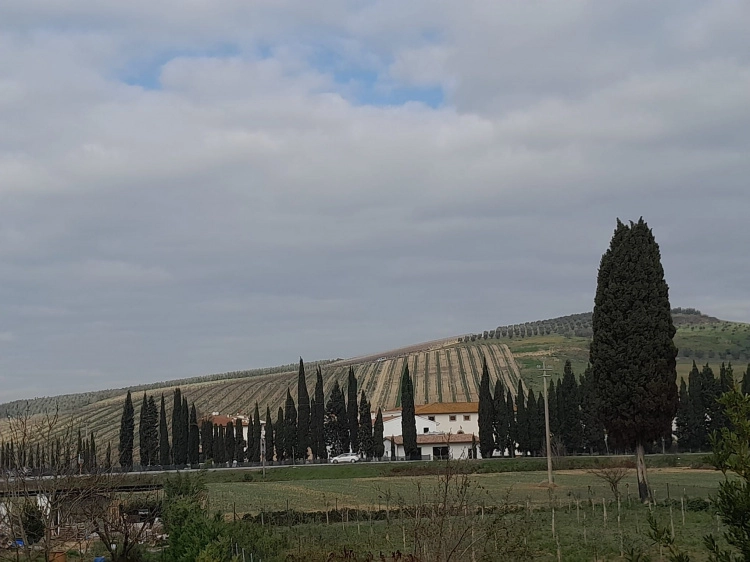 cerreto guidi terratetto in vendita con vista caratteristica del paesaggio toscano